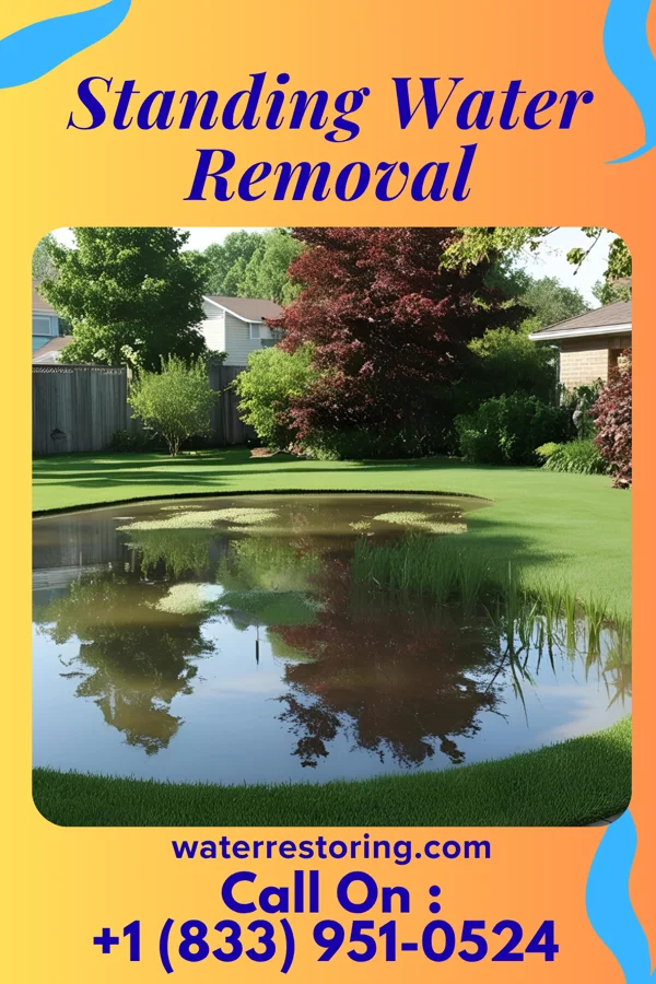 Standing Water Removal in Woonsocket, SD